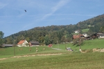 DSC02317.jpg
