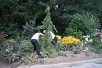 DSC07332.jpg
