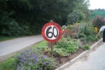 DSC07371.jpg