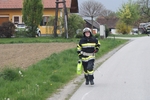 DSC04466.jpg
