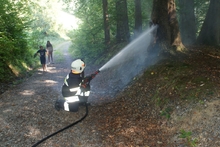 Baumbrand